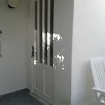 Pitosforo - Ulivo - Cocco