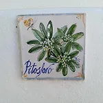 펜션 Casa Pitosforo Casa Ulivo Forio di Ischia