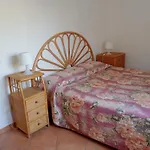 Casa Pitosforo Casa Ulivo
