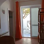 Casa Pitosforo Casa Ulivo