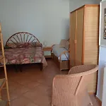 Casa Pitosforo Casa Ulivo Forio di Ischia