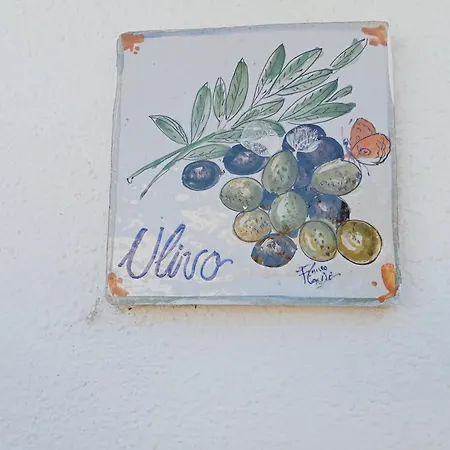 Casa vacanze Casa Pitosforo Casa Ulivo Forio di Ischia