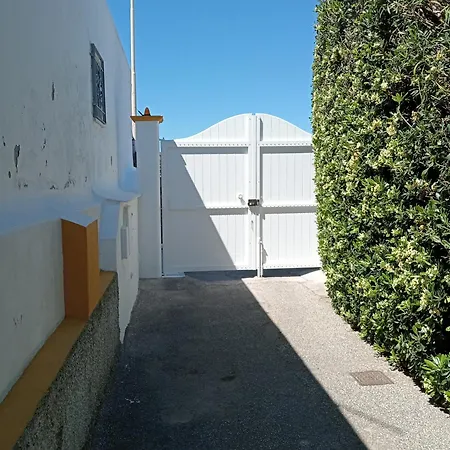 Casa Pitosforo Casa Ulivo Forio di Ischia