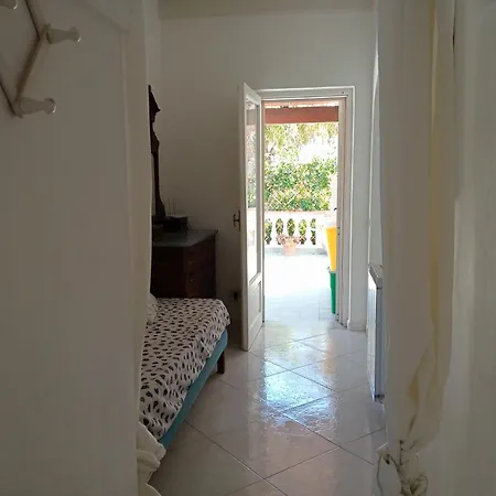 Casa Pitosforo Casa Ulivo