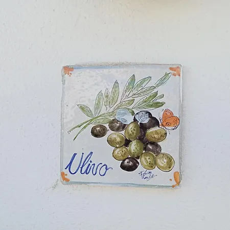 펜션 Casa Pitosforo Casa Ulivo Forio di Ischia