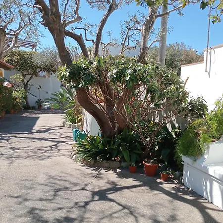 Casa vacanze Casa Pitosforo Casa Ulivo *