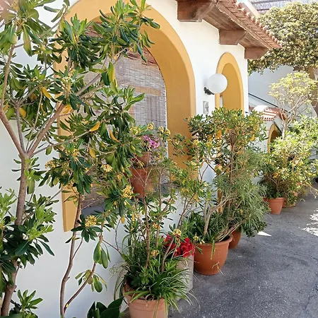 Casa Pitosforo Casa Ulivo 펜션 Forio di Ischia