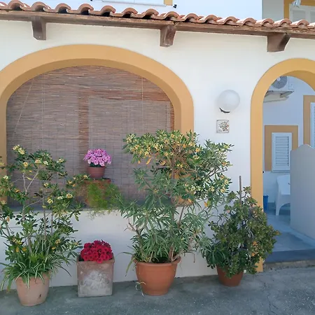 Casa vacanze Casa Pitosforo Casa Ulivo *