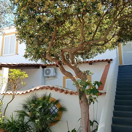 Casa Pitosforo Casa Ulivo * Forio di Ischia