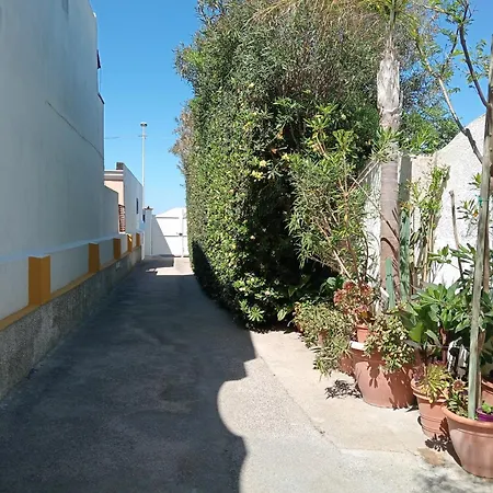 Casa Pitosforo Casa Ulivo Casa vacanze Forio di Ischia