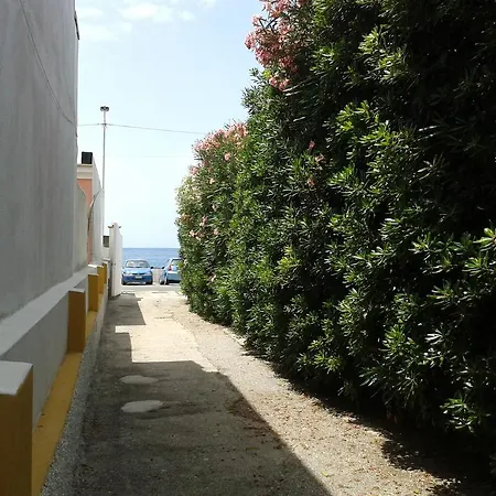 Ferienhaus Pitosforo - Ulivo - Cocco Forio di Ischia