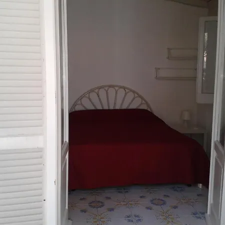 Pitosforo - Ulivo - Cocco *