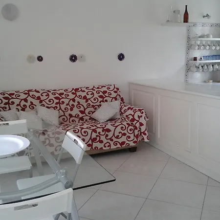 Pitosforo - Ulivo - Cocco Hébergement de vacances *