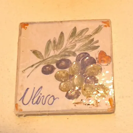 Ferienhaus Pitosforo - Ulivo - Cocco Forio di Ischia