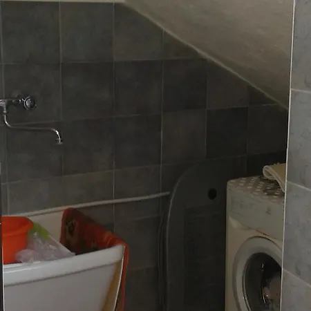 Pitosforo - Ulivo - Cocco Hébergement de vacances