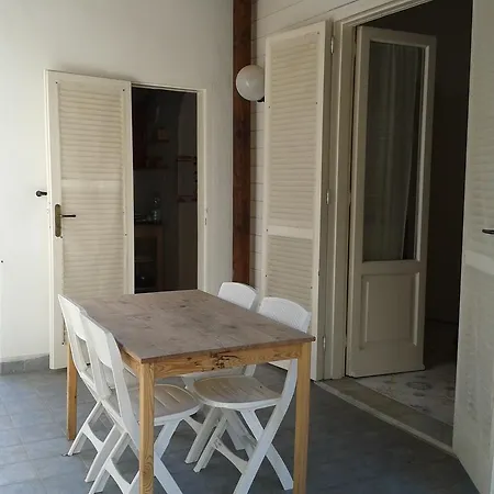 Pitosforo - Ulivo - Cocco *