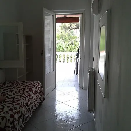 Pitosforo - Ulivo - Cocco Hébergement de vacances *