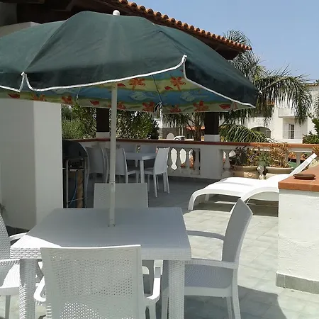 Pitosforo - Ulivo - Cocco Forio di Ischia