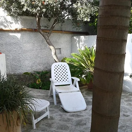 Pitosforo - Ulivo - Cocco Ferienhaus
