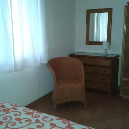 Pitosforo - Ulivo - Cocco