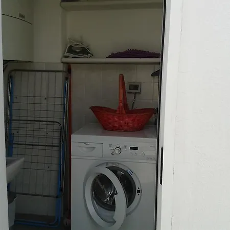 Pitosforo - Ulivo - Cocco Hébergement de vacances *