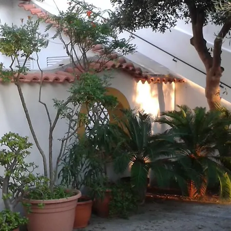 Pitosforo - Ulivo - Cocco Ferienhaus Forio di Ischia