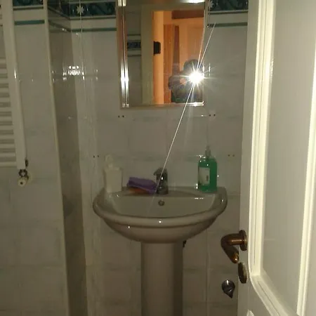 Pitosforo - Ulivo - Cocco Forio di Ischia