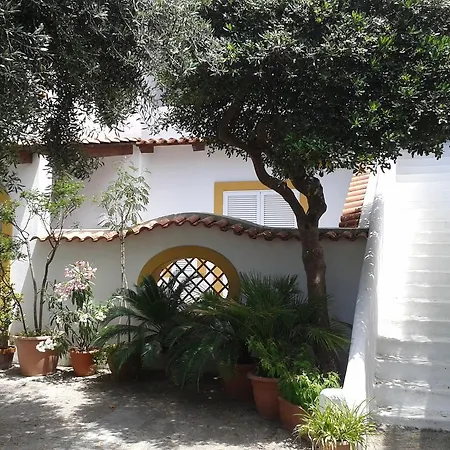 Hébergement de vacances Pitosforo - Ulivo - Cocco *