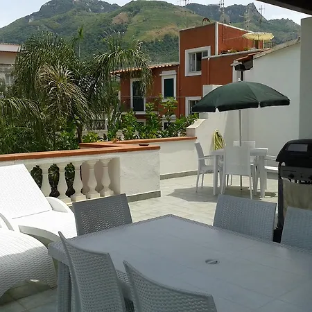 Pitosforo - Ulivo - Cocco Ferienhaus *
