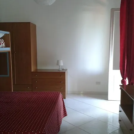 Pitosforo - Ulivo - Cocco * Forio di Ischia