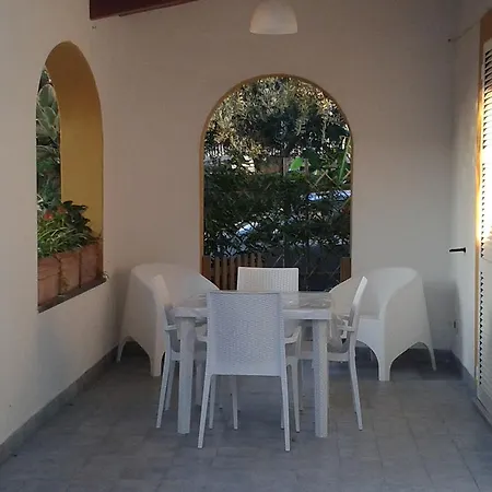 Pitosforo - Ulivo - Cocco Ferienhaus Forio di Ischia