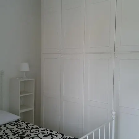 Pitosforo - Ulivo - Cocco Hébergement de vacances