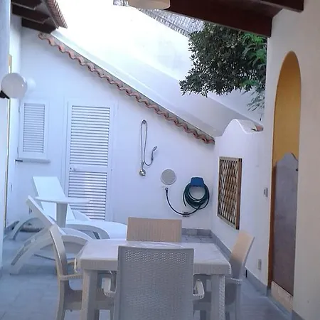 Pitosforo - Ulivo - Cocco *