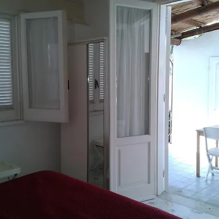 Pitosforo - Ulivo - Cocco Ferienhaus Forio di Ischia