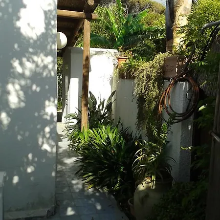 Ferienhaus Pitosforo - Ulivo - Cocco *