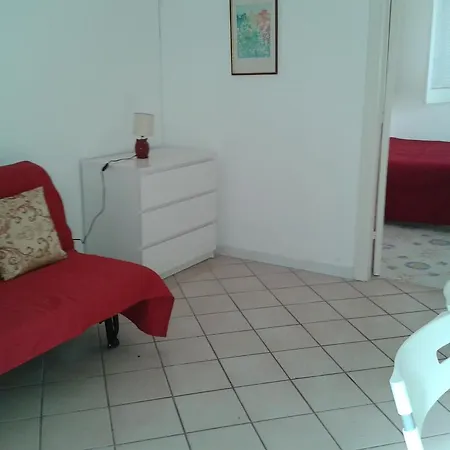 Pitosforo - Ulivo - Cocco Hébergement de vacances *