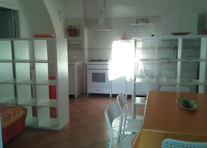 Pitosforo - Ulivo - Cocco