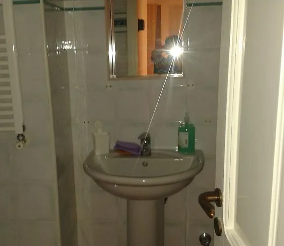 Pitosforo - Ulivo - Cocco Forio di Ischia