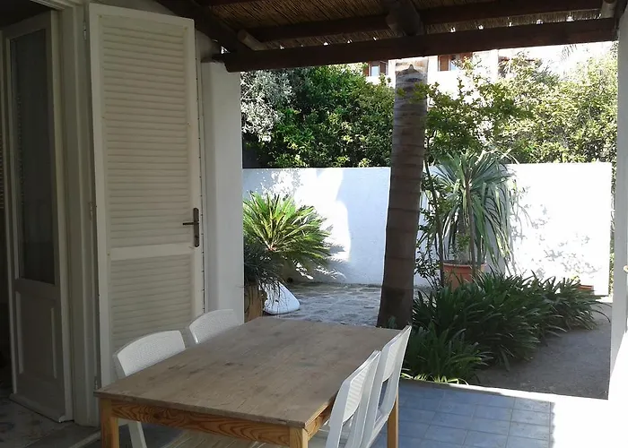 Pitosforo - Ulivo - Cocco *