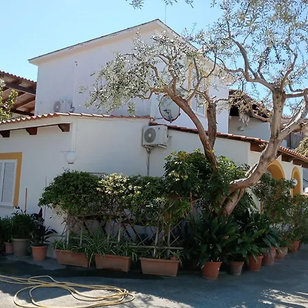 Casa Pitosforo Casa Ulivo Hébergement de vacances *