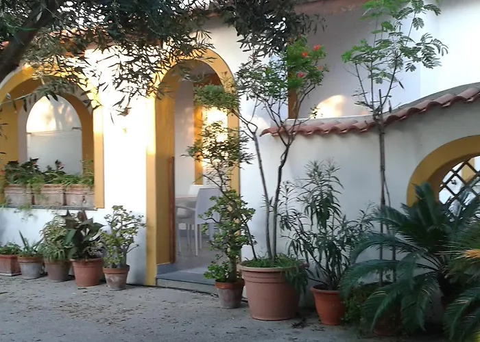 Casa vacanze Pitosforo - Ulivo - Cocco