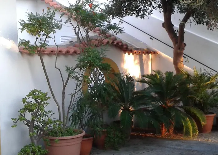 Pitosforo - Ulivo - Cocco Casa vacanze Forio di Ischia